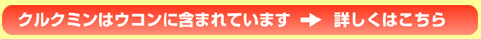 クルクミンはウコンに含まれています→詳しくはこちら